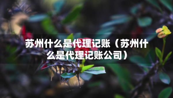 苏州什么是代理记账（苏州什么是代理记账公司）
