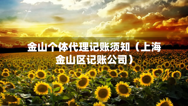 金山个体代理记账须知（上海金山区记账公司）