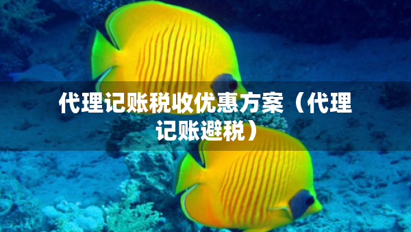代理记账税收优惠方案（代理记账避税）