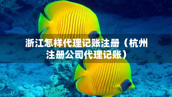 浙江怎样代理记账注册（杭州注册公司代理记账）