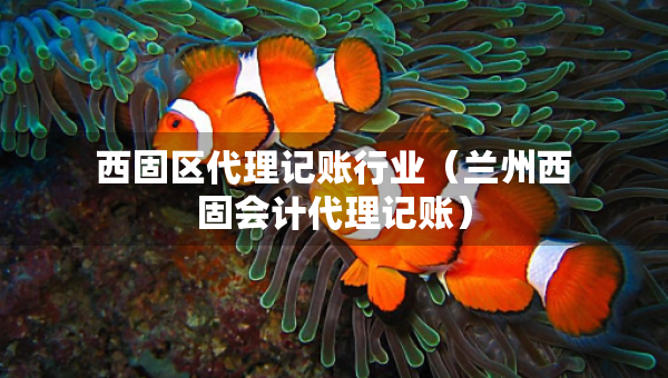 西固区代理记账行业（兰州西固会计代理记账）