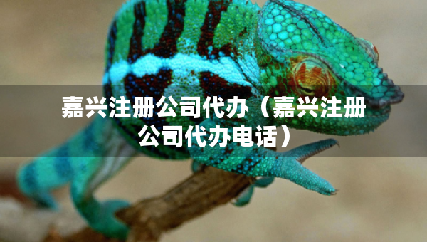 嘉兴注册公司代办（嘉兴注册公司代办电话）