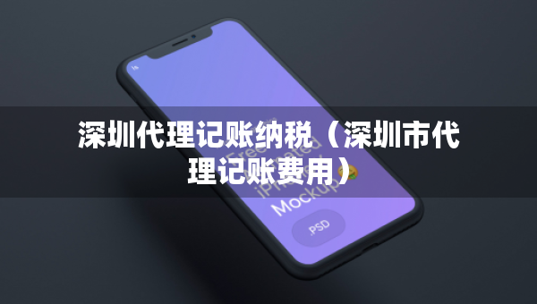 深圳代理记账纳税（深圳市代理记账费用）