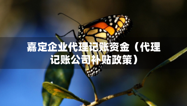 嘉定企业代理记账资金（代理记账公司补贴政策）