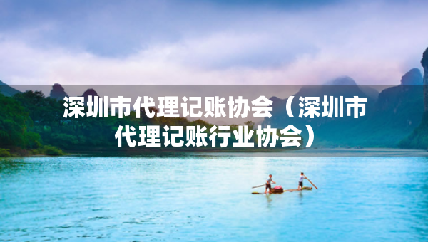深圳市代理记账协会（深圳市代理记账行业协会）