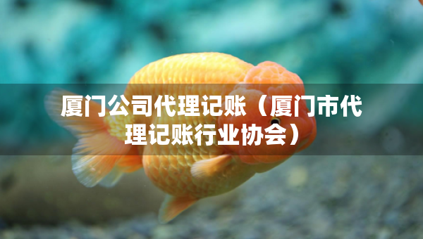 厦门公司代理记账（厦门市代理记账行业协会）