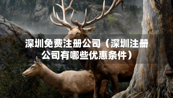 深圳免费注册公司（深圳注册公司有哪些优惠条件）