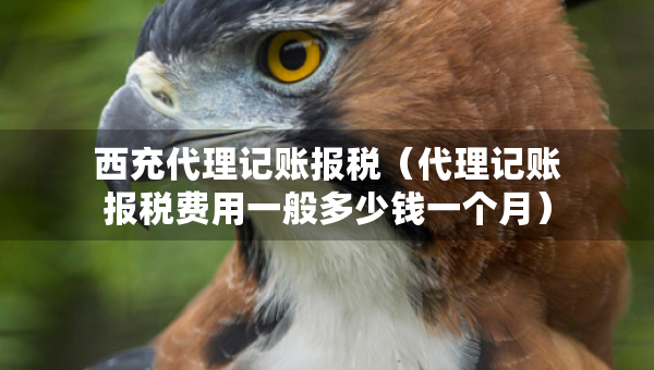 西充代理记账报税（代理记账报税费用一般多少钱一个月）