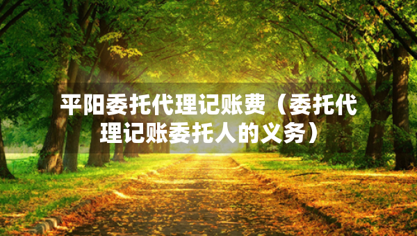 平阳委托代理记账费（委托代理记账委托人的义务）