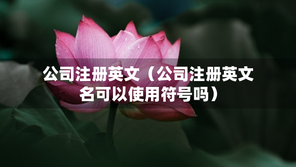 公司注册英文（公司注册英文名可以使用符号吗）