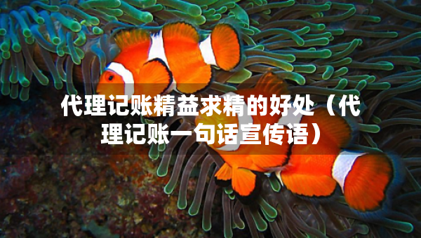 代理记账精益求精的好处（代理记账一句话宣传语）