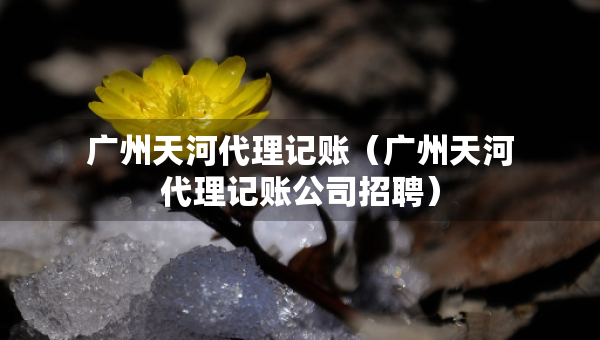 广州天河代理记账（广州天河代理记账公司招聘）