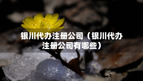 银川代办注册公司（银川代办注册公司有哪些）