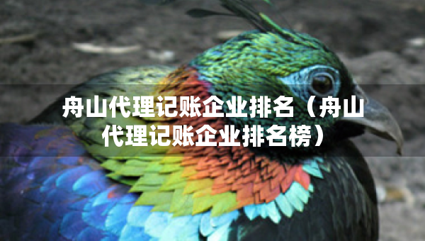 舟山代理记账企业排名（舟山代理记账企业排名榜）