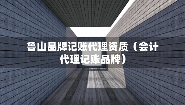 鲁山品牌记账代理资质（会计代理记账品牌）