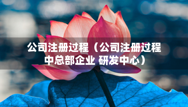 公司注册过程（公司注册过程中总部企业 研发中心）
