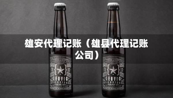 雄安代理记账（雄县代理记账公司）