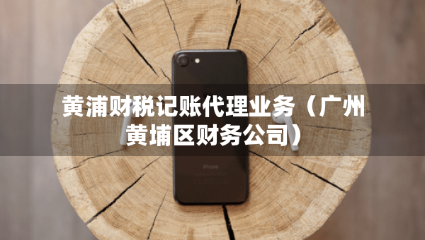 黄浦财税记账代理业务（广州黄埔区财务公司）