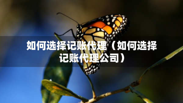 如何选择记账代理（如何选择记账代理公司）