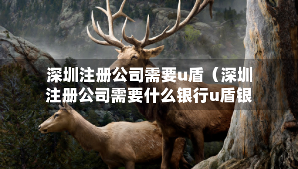 深圳注册公司需要u盾（深圳注册公司需要什么银行u盾银行）