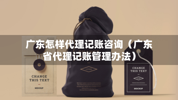 广东怎样代理记账咨询（广东省代理记账管理办法）