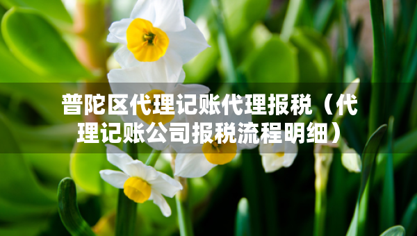 普陀区代理记账代理报税（代理记账公司报税流程明细）
