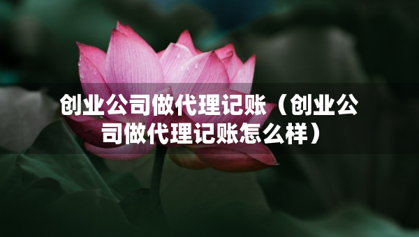 创业公司做代理记账（创业公司做代理记账怎么样）