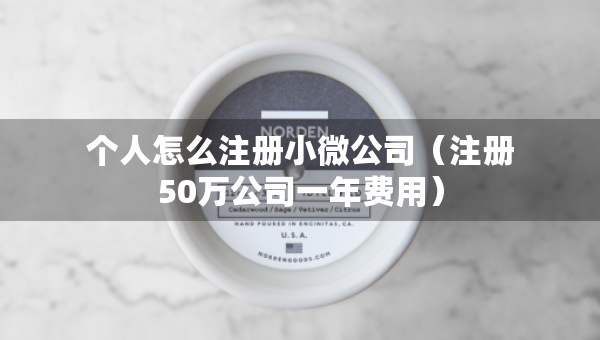 个人怎么注册小微公司（注册50万公司一年费用）