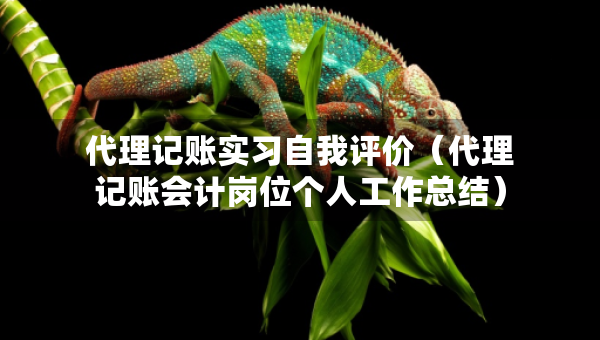 代理记账实习自我评价（代理记账会计岗位个人工作总结）