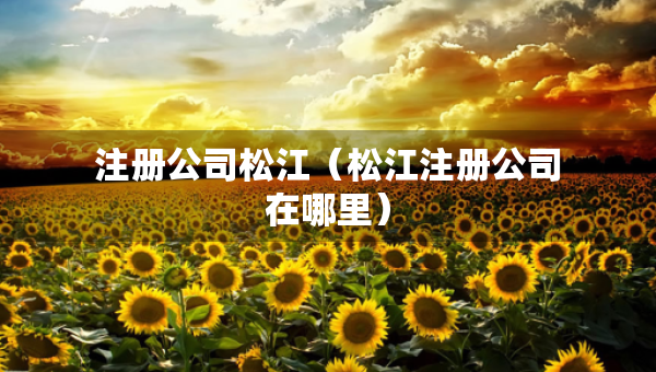 注册公司松江（松江注册公司在哪里）