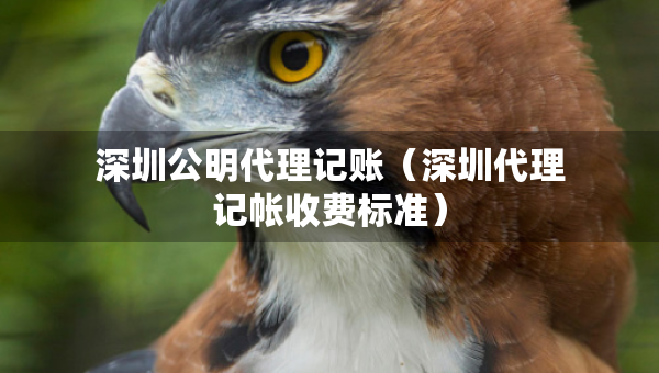 深圳公明代理记账（深圳代理记帐收费标准）