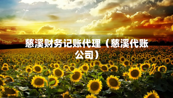 慈溪财务记账代理（慈溪代账公司）