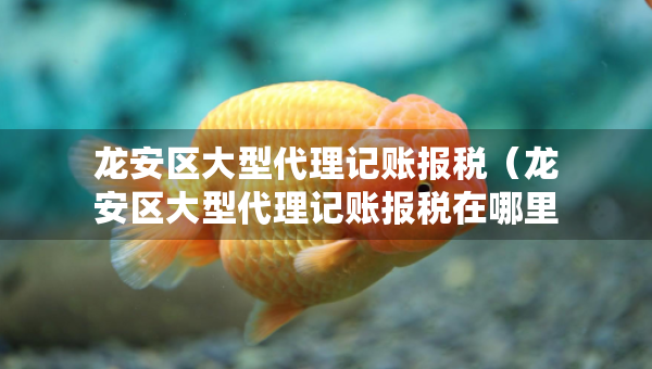 龙安区大型代理记账报税（龙安区大型代理记账报税在哪里）