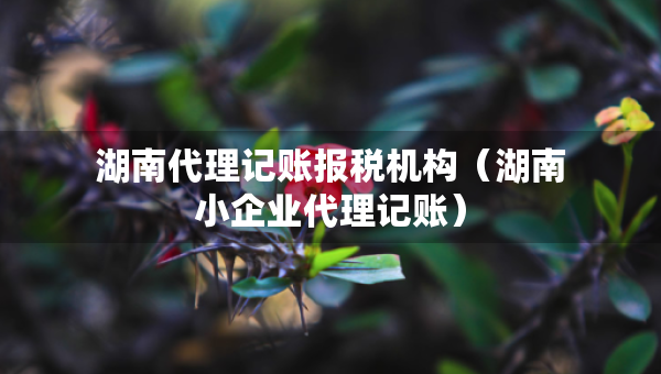 湖南代理记账报税机构（湖南小企业代理记账）