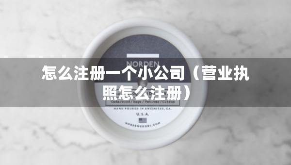怎么注册一个小公司（营业执照怎么注册）