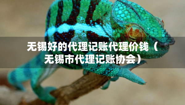 无锡好的代理记账代理价钱（无锡市代理记账协会）