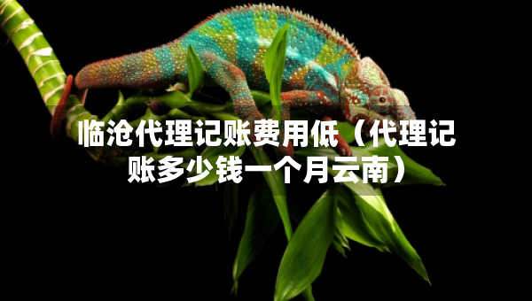 临沧代理记账费用低（代理记账多少钱一个月云南）
