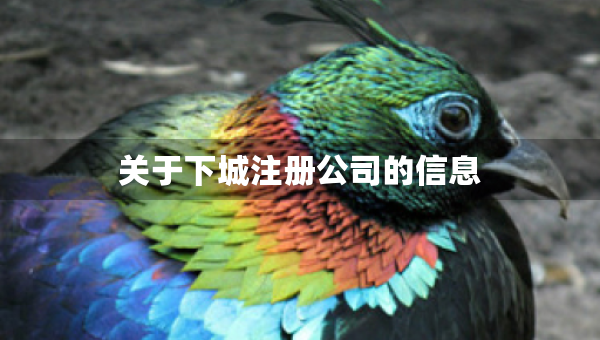 关于下城注册公司的信息