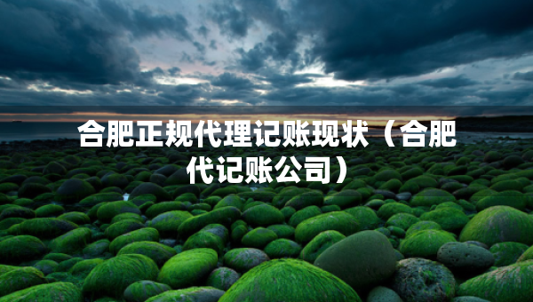 合肥正规代理记账现状（合肥代记账公司）