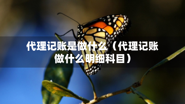代理记账是做什么（代理记账做什么明细科目）