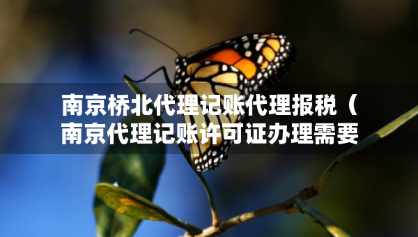 南京桥北代理记账代理报税（南京代理记账许可证办理需要什么条件）