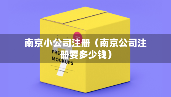 南京小公司注册（南京公司注册要多少钱）