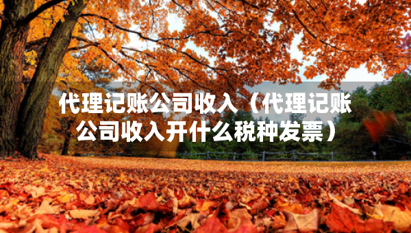 代理记账公司收入（代理记账公司收入开什么税种发票）