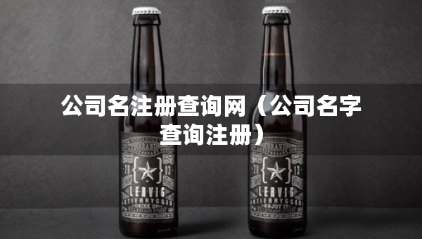 公司名注册查询网（公司名字查询注册）