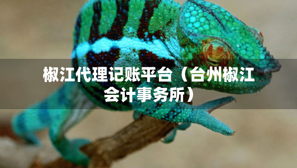 椒江代理记账平台（台州椒江会计事务所）