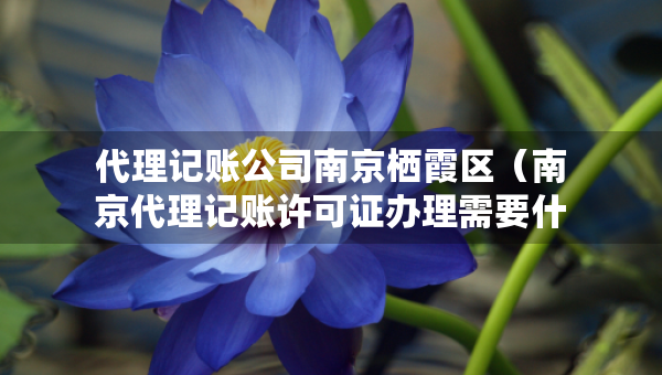 代理记账公司南京栖霞区（南京代理记账许可证办理需要什么条件）