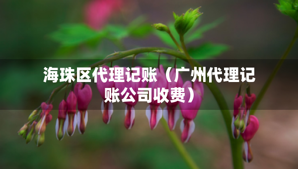海珠区代理记账（广州代理记账公司收费）