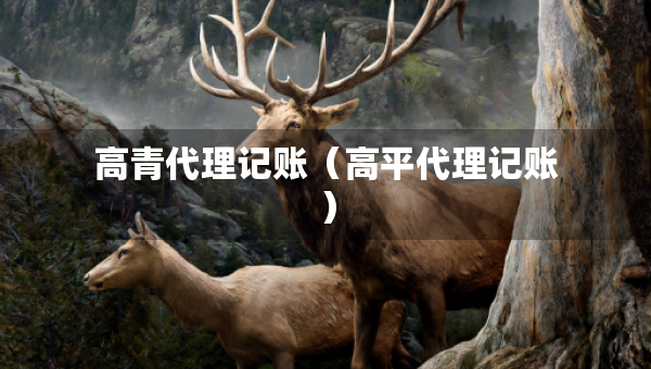 高青代理记账（高平代理记账）