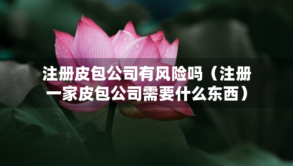 注册皮包公司有风险吗（注册一家皮包公司需要什么东西）