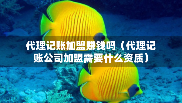 代理记账加盟赚钱吗（代理记账公司加盟需要什么资质）